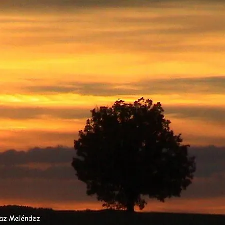 Kro Real La Vieja Chimenea-spa Herreros