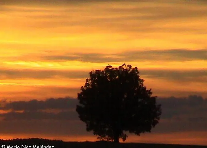 여관 Real La Vieja Chimenea-spa Herreros