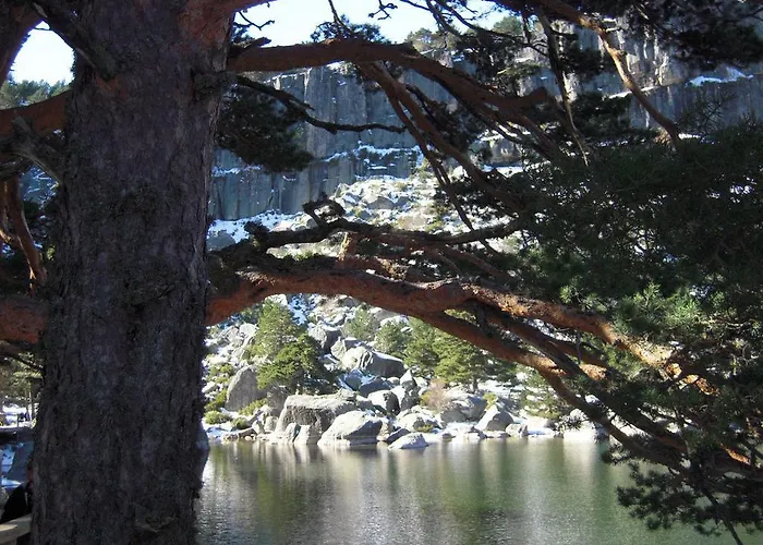 Real La Vieja Chimenea-spa 여관