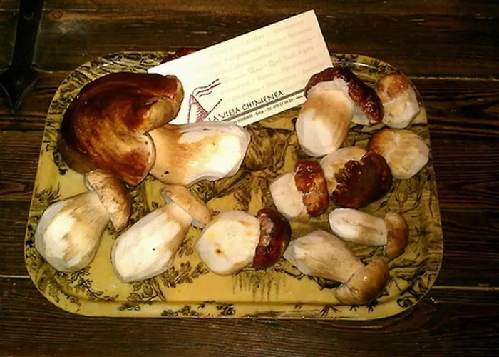 Real La Vieja Chimenea-spa 여관 4*